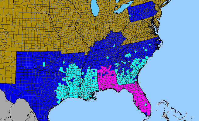 The range of Lygodium japonicum